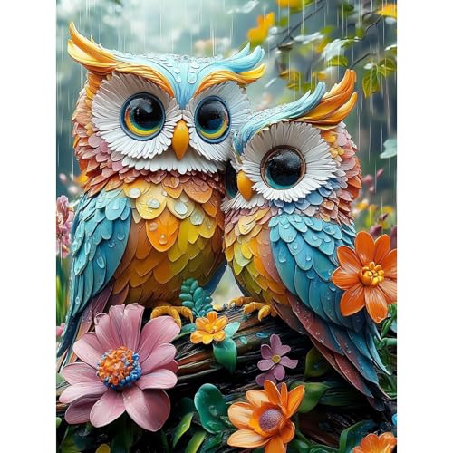 HEIBAGO 5D Diamond Painting Für Erwachsene, Eule Rhinestone Embroidery Diamant Painting Set, DIY Full Drill Diamant Malerei Kits Tiere Diamond Art Bilder Für Anfänger, Home Dekor 30 * 40cm HEIBAGO 5D Diamond Painting Für Erwachsene, Eule Rhinestone Embroidery Diamant Painting Set, DIY Full Drill Diamant Malerei Kits Tiere Diamond Art Bilder Für Anfänger, Home Dekor 30 * 40cm von HEIBAGO