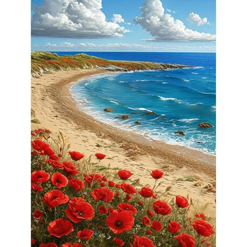 HEIBAGO 5D Diamond Painting Mohnblumen, Meeres Full Drill Diamant Painting Set Für Erwachsene, DIY Cross Embroidery Diamant Kunst Landschaft Diamond Art Bilder Für Home Dekor 30 * 40cm von HEIBAGO