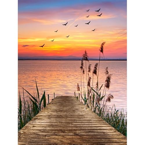 HEIBAGO Landschaft Malen nach Zahlen für Erwachsene, Schilf Ölmalerei Malen nach Zahlen Kits für Anfänger, DIY Malen nach Zahlen Leinwand Fluss Kunstbilder für Geburtstagsgeschenke,30X40cm von HEIBAGO