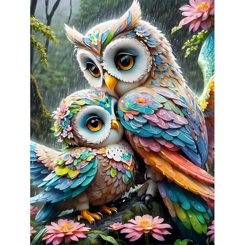 HEIBAGO Malen nach Zahlen für Erwachsene, DIY Eule Malen nach Zahlen Bausätze für Anfänger, Malen nach Zahlen Bausätze,Ölfarbe nach Zahlen Tiere Kunsthandwerk Bilder für Wanddekor,30X40cm HEIBAGO Malen nach Zahlen für Erwachsene, DIY Eule Malen nach Zahlen Bausätze für Anfänger, Malen nach Zahlen Bausätze,Ölfarbe nach Zahlen Tiere Kunsthandwerk Bilder für Wanddekor,30X40cm von HEIBAGO