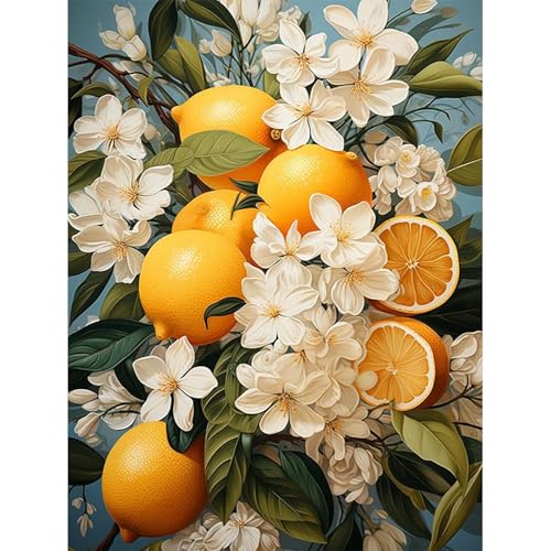 HEIBAGO Malen nach Zahlen für Erwachsene, Obst Ölmalerei Malen nach Zahlen Kits für Anfänger, DIY Malen nach Zahlen Leinwand Obst Kunstbilder für Wanddekor,30X40cm von HEIBAGO