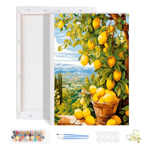 HEIBAGO Malen nach Zahlen für Erwachsene Mit Rahmen, DIY Frucht Malen nach Zahlen Kits für Anfänger, Ölmalerei Kunst Handwerk Bilder für Wanddekoration, 20x30cm HEIBAGO Malen nach Zahlen für Erwachsene Mit Rahmen, DIY Frucht Malen nach Zahlen Kits für Anfänger, Ölmalerei Kunst Handwerk Bilder für Wanddekoration, 20x30cm von HEIBAGO