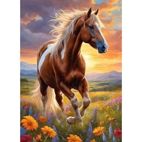 HEIBAGO Pferd 5D Diamond Painting, Blume Full Drill Diamant Painting Sets Für Erwachsene Anfänger, DIY Cross Embroidery Diamant Kunst Sonnenuntergang Diamond Art Bilder Für Home Wand Dekor 30 * 40cm HEIBAGO Pferd 5D Diamond Painting, Blume Full Drill Diamant Painting Sets Für Erwachsene Anfänger, DIY Cross Embroidery Diamant Kunst Sonnenuntergang Diamond Art Bilder Für Home Wand Dekor 30 * 40cm von HEIBAGO