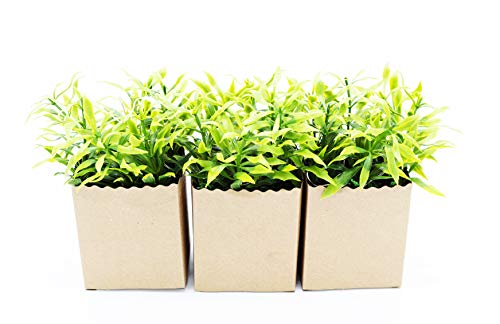 HEITMANN DECO - Kunstpflanze in Papiertüte, mit LED, 3er Set, grün/braun - Ganzjahresdeko - ca. 7 x 6 x 14,5 cm, 5tlg HEITMANN DECO - Kunstpflanze in Papiertüte, mit LED, 3er Set, grün/braun - Ganzjahresdeko - ca. 7 x 6 x 14,5 cm, 5tlg von HEITMANN DECO