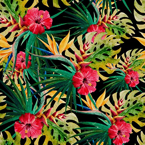 HEKO PANELS Oxford Wasserdichte Meterware Canvas-Stoff Polyester Zum Nähen Nähstoffe Möbelstoffe Dekostoffe Wasserabweisend Blickdicht Blumen Tropen Tropical 3 Meter 155 x 300 cm HEKO PANELS Oxford Wasserdichte Meterware Canvas-Stoff Polyester Zum Nähen Nähstoffe Möbelstoffe Dekostoffe Wasserabweisend Blickdicht Blumen Tropen Tropical 3 Meter 155 x 300 cm von HEKO PANELS