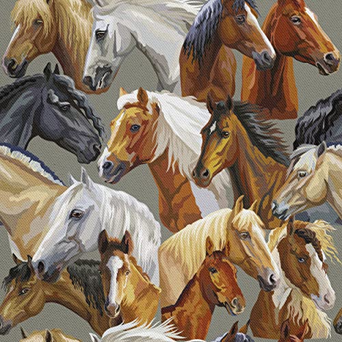 HEKO PANELS Stoff Oxford Wasserdichte Meterware Canvas Polyester Stoff Nähstoffe, Dekostoffe Wasserabweisend Blickdicht Pferde 2 Meter 155 x 200 cm HEKO PANELS Stoff Oxford Wasserdichte Meterware Canvas Polyester Stoff Nähstoffe, Dekostoffe Wasserabweisend Blickdicht Pferde 2 Meter 155 x 200 cm von HEKO PANELS