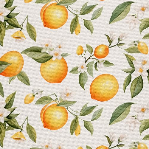 HEKO PANELS Stoff Oxford Wasserdichte Meterware Canvas-Stoff Polyester Nähstoff Dekostoffe Handwerken Wasserabweisend Blickdicht Obst Früchte Aquarell Wasserfarbe 2 Meter 155 x 200 cm DX2412 von HEKO PANELS