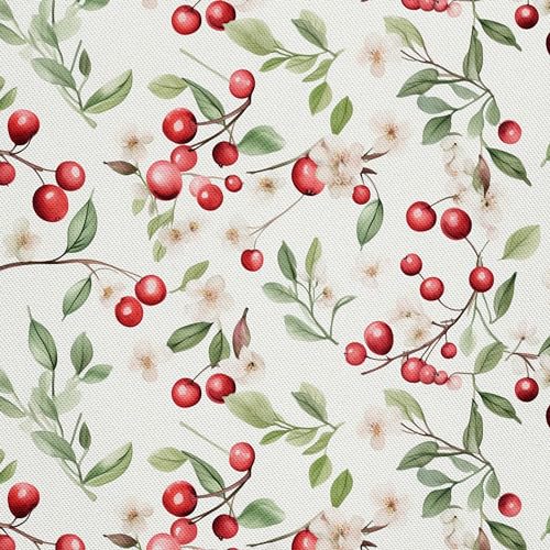 HEKO PANELS Stoff Oxford Wasserdichte Meterware Canvas-Stoff Polyester Nähstoff Dekostoffe Handwerken Wasserabweisend Blickdicht Obst Kirschen Aquarell Wasserfarbe 1 Meter 155 x 100 cm DX2676 HEKO PANELS Stoff Oxford Wasserdichte Meterware Canvas-Stoff Polyester Nähstoff Dekostoffe Handwerken Wasserabweisend Blickdicht Obst Kirschen Aquarell Wasserfarbe 1 Meter 155 x 100 cm DX2676 von HEKO PANELS