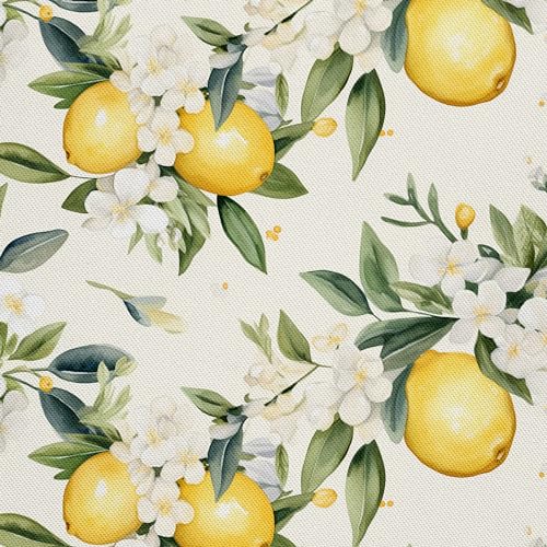 HEKO PANELS Stoff Oxford Wasserdichte Meterware Canvas-Stoff Polyester Nähstoff Dekostoffe Handwerken Wasserabweisend Blickdicht Zitronen Obst Aquarell Wasserfarbe 2 Meter 155 x 200 cm DX2239 von HEKO PANELS