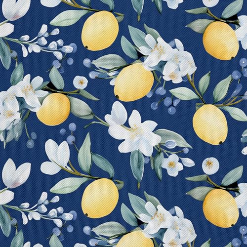 HEKO PANELS Stoff Oxford Wasserdichte Meterware Canvas-Stoff Polyester Nähstoff Dekostoffe Handwerken Wasserabweisend Blickdicht Zitronen Obst Aquarell Wasserfarbe 3 Meter 155 x 300 cm DX2258 HEKO PANELS Stoff Oxford Wasserdichte Meterware Canvas-Stoff Polyester Nähstoff Dekostoffe Handwerken Wasserabweisend Blickdicht Zitronen Obst Aquarell Wasserfarbe 3 Meter 155 x 300 cm DX2258 von HEKO PANELS