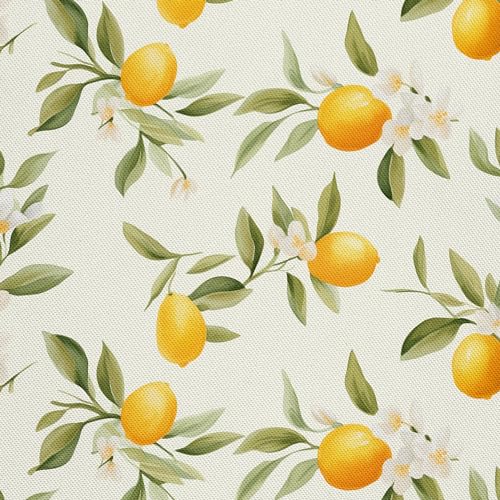 HEKO PANELS Stoff Oxford Wasserdichte Meterware Canvas-Stoff Polyester Nähstoff Dekostoffe Handwerken Wasserabweisend Blickdicht Zitronen Obst Aquarell Wasserfarbe 5 Meter 155 x 500 cm DX2096 von HEKO PANELS