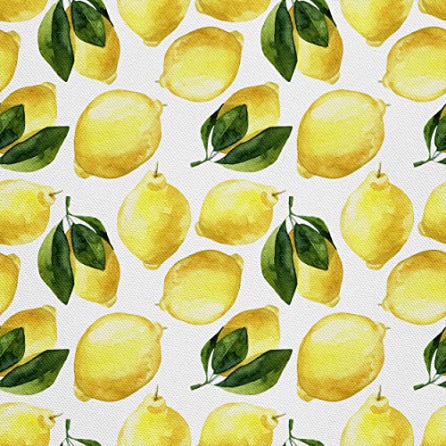 HEKO PANELS Stoff Oxford Wasserdichte Meterware Canvas-Stoff Polyester Stoff Zum Nähen Nähstoffe Dekostoffe Wasserabweisend Blickdicht Zitronen 1 Meter 155 x 100 cm HEKO PANELS Stoff Oxford Wasserdichte Meterware Canvas-Stoff Polyester Stoff Zum Nähen Nähstoffe Dekostoffe Wasserabweisend Blickdicht Zitronen 1 Meter 155 x 100 cm von HEKO PANELS