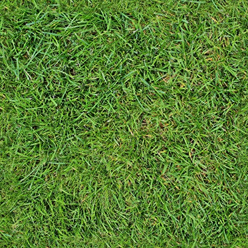 HEKO PANELS Stoff Oxford Wasserdichte Meterware Canvas-Stoff Polyester Stoff Zum Nähen Nähstoffe Möbelstoffe Dekostoffe Handwerken Wasserabweisend Blickdicht Gras 5 Meter 155 x 500 cm HEKO PANELS Stoff Oxford Wasserdichte Meterware Canvas-Stoff Polyester Stoff Zum Nähen Nähstoffe Möbelstoffe Dekostoffe Handwerken Wasserabweisend Blickdicht Gras 5 Meter 155 x 500 cm von HEKO PANELS