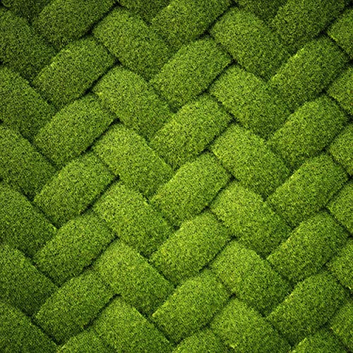HEKO PANELS Stoff Oxford Wasserdichte Meterware Canvas-Stoff Polyester Stoff Zum Nähen Nähstoffe Möbelstoffe Dekostoffe Handwerken Wasserabweisend Blickdicht Gras Geometrisch 2 Meter 155 x 200 cm von HEKO PANELS