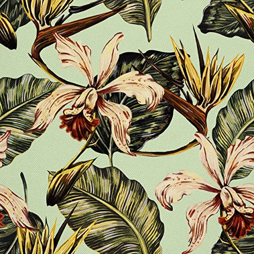 HEKO PANELS Stoff Oxford Wasserdichte Meterware Canvas-Stoff Polyester Stoff Zum Nähen Nähstoffe Möbelstoffe Dekostoffe Wasserabweisend Blickdicht Blumen Tropen Tropical 2 Meter 155 x 200 cm HEKO PANELS Stoff Oxford Wasserdichte Meterware Canvas-Stoff Polyester Stoff Zum Nähen Nähstoffe Möbelstoffe Dekostoffe Wasserabweisend Blickdicht Blumen Tropen Tropical 2 Meter 155 x 200 cm von HEKO PANELS