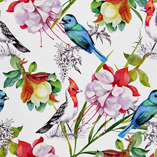 HEKO PANELS Stoff Oxford Wasserdichte Meterware Canvas-Stoff Polyester Stoff Zum Nähen Nähstoffe Möbelstoffe Dekostoffe Wasserabweisend Blickdicht Blumen Vögel Bunt 1 Meter 155 x 100 cm, DX153 HEKO PANELS Stoff Oxford Wasserdichte Meterware Canvas-Stoff Polyester Stoff Zum Nähen Nähstoffe Möbelstoffe Dekostoffe Wasserabweisend Blickdicht Blumen Vögel Bunt 1 Meter 155 x 100 cm, DX153 von HEKO PANELS