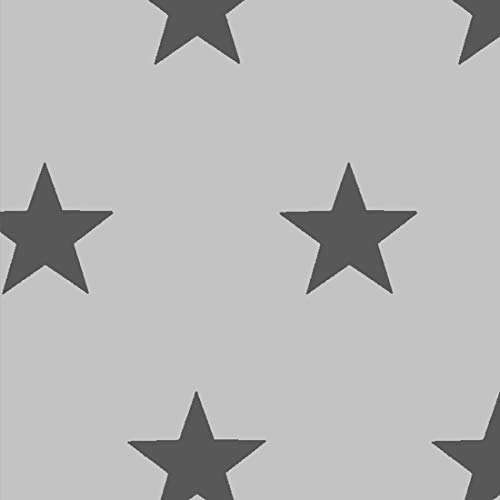 HEKO PANELS Stoff Oxford Wasserdichte Meterware CanvasPolyester Stoff Zum Nähen Nähstoffe Möbelstoffe Dekostoffe Handwerken Wasserabweisend Blickdicht Sterne Grau Anthrazit 100 x 150 cm… HEKO PANELS Stoff Oxford Wasserdichte Meterware CanvasPolyester Stoff Zum Nähen Nähstoffe Möbelstoffe Dekostoffe Handwerken Wasserabweisend Blickdicht Sterne Grau Anthrazit 100 x 150 cm… von HEKO PANELS