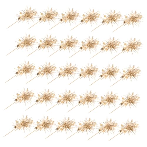 HEMOTON 100 Stück Kuchen Plugin Kuchen Ornament Gebäck Topper Happy Birthday Einsteck Dekorationen Geburtstags Cupcake Topper Obst Zahnstocher Stick HEMOTON 100 Stück Kuchen Plugin Kuchen Ornament Gebäck Topper Happy Birthday Einsteck Dekorationen Geburtstags Cupcake Topper Obst Zahnstocher Stick von HEMOTON