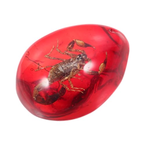 HEMOTON Bernstein Bienenwachs Probe Bernstein Sammlung Insekt Bernstein Stein Insektenproben Steine Anhänger Insektenstein Bernstein Insektenprobe Künstliche Bernsteinprobe Charm Park HEMOTON Bernstein Bienenwachs Probe Bernstein Sammlung Insekt Bernstein Stein Insektenproben Steine Anhänger Insektenstein Bernstein Insektenprobe Künstliche Bernsteinprobe Charm Park von HEMOTON