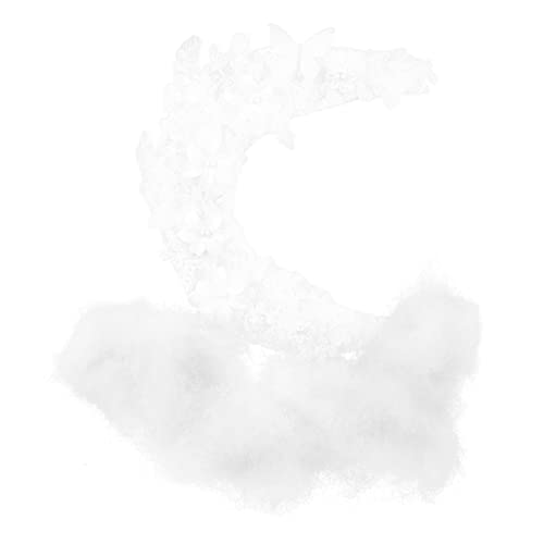 HEMOTON Perlenkuchendekor Für Hochzeiten Und Geburtstagsfeiern Exquisite Mondform Cake Topper Aus Hochwertigem Lebensmittelechtem Material Für Sichere Dekorationen HEMOTON Perlenkuchendekor Für Hochzeiten Und Geburtstagsfeiern Exquisite Mondform Cake Topper Aus Hochwertigem Lebensmittelechtem Material Für Sichere Dekorationen von HEMOTON
