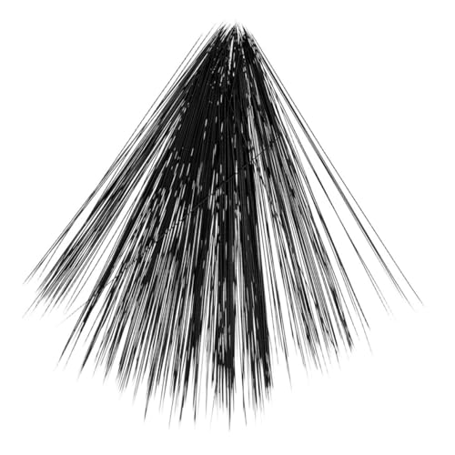 HEMOTON Realistische Tier schnurrhaare Schwarz Langlebige Transparente Spitze Filz schnurrhaare für Handgefertigte Kuscheltiere Nadelfilz bastelzubehör von HEMOTON