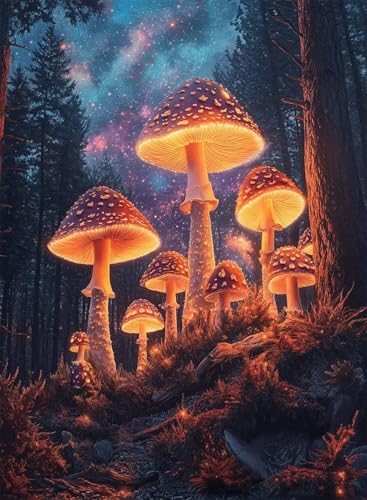 Diamond Painting Pilz Diamond Painting Erwachsene, Crystal Art Sternenhimmel Muster Design 5D DIY Vollbohrer Diamanten Malerei Stickerei Kreuzstich Basteln für Deko Wohnzimmer 40x50cm -hjw25086D von HENJGWEG