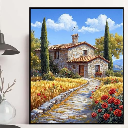 Häuser Diamond Painting 60x80 cm, Rose Diamond Painting Erwachsene Anfänger 5D DIY Runder Vollbohrer Diamanten Malerei Mosaik Bastelset Erwachsene für Zimmer Deko, Geschenke für Frauen -hjw250889 von HENJGWEG