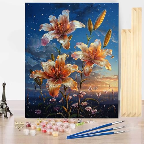 Malen Nach Zahlen Erwachsene Blume Malen Nach Zahlen mit Rahmen, Paint by Numbers Himmel Painting by Numbers Bastelset Erwachsene mit 3 Pinseln und Acrylfarbe für Deko Wohnzimmer (70x95cm) -j2503G5 von HENJGWEG