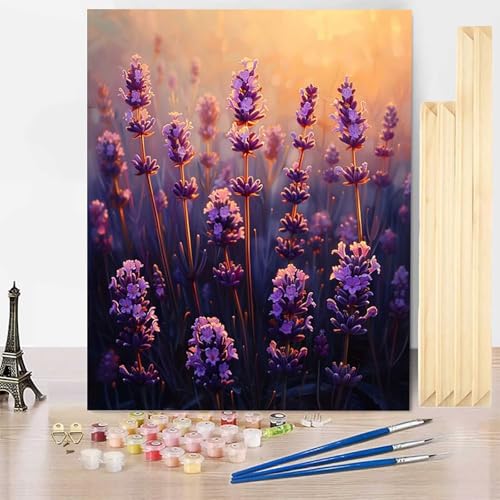 Malen Nach Zahlen Erwachsene Blume Malen Nach Zahlen mit Rahmen, Paint by Numbers Lavendel Painting by Numbers Bastelset Erwachsene mit 3 Pinseln und Acrylfarbe für Deko Wohnzimmer (30 x 40 cm) -j03V8 von HENJGWEG