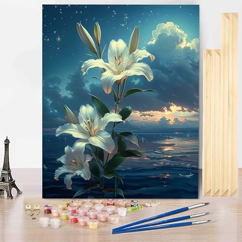 Malen Nach Zahlen Erwachsene Himmel Malen Nach Zahlen mit Rahmen, Paint by Numbers Blume Painting by Numbers Bastelset Erwachsene mit 3 Pinseln und Acrylfarbe für Deko Wohnzimmer (60 x 80 cm) -j250341 von HENJGWEG