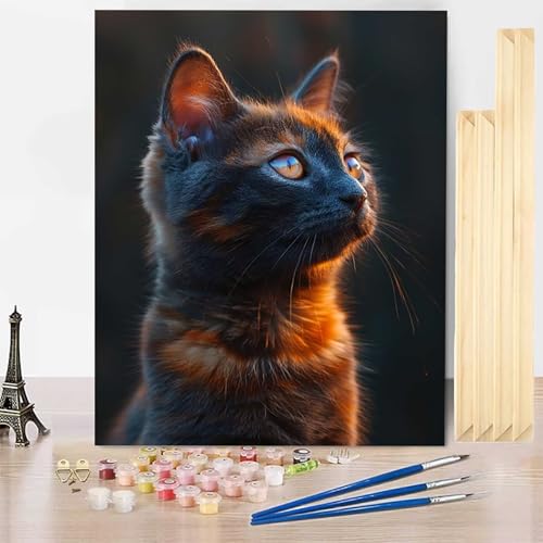 Malen Nach Zahlen Erwachsene Katze Malen Nach Zahlen mit Rahmen, Paint by Numbers Tier Painting by Numbers Bastelset Erwachsene mit 3 Pinseln und Acrylfarbe für Deko Wohnzimmer 50 x 65 cm -j2503V4 von HENJGWEG