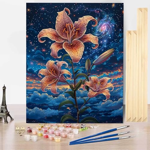 Malen Nach Zahlen Erwachsene Sternenhimmel Malen Nach Zahlen mit Rahmen, Paint by Numbers Blume Painting by Numbers Bastelset Erwachsene mit 3 Pinseln und Acrylfarbe für Zimmer Deko (20x30cm) -j36I von HENJGWEG