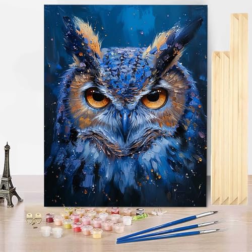 Malen Nach Zahlen Erwachsene Tier Malen Nach Zahlen mit Rahmen, Paint by Numbers Eule Painting by Numbers Bastelset Erwachsene mit 3 Pinseln und Acrylfarbe für Deko Wohnzimmer (40 x 60 cm) -j25032F von HENJGWEG