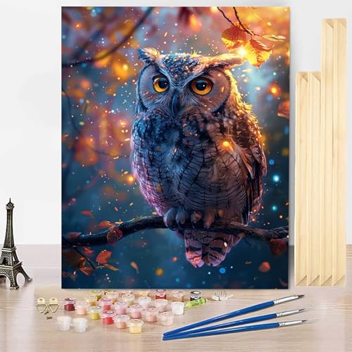 Malen Nach Zahlen Erwachsene Tier Malen Nach Zahlen mit Rahmen, Paint by Numbers Eule Painting by Numbers Bastelset Erwachsene mit 3 Pinseln und Acrylfarbe für Deko Wohnzimmer (70x95cm) -j25035P von HENJGWEG
