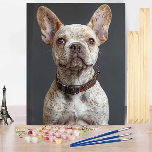 Malen Nach Zahlen Erwachsene Tier Malen Nach Zahlen mit Rahmen, Paint by Numbers Hund Painting by Numbers Bastelset Erwachsene mit 3 Pinseln und Acrylfarbe für Deko Wohnzimmer 20 x 30 cm -j2503X3 von HENJGWEG