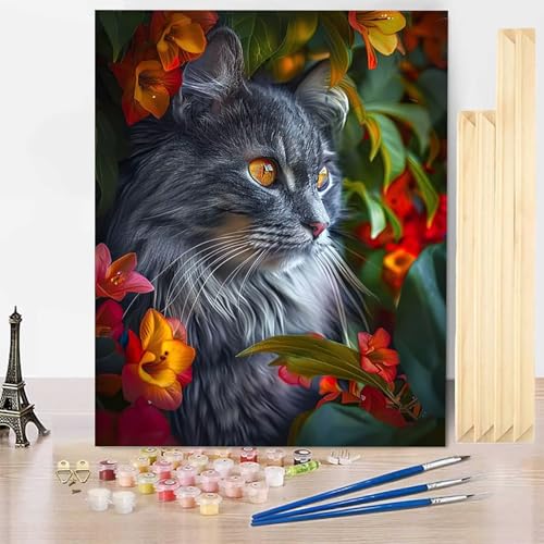 Malen Nach Zahlen Erwachsene Tier Malen Nach Zahlen mit Rahmen, Paint by Numbers Katze Painting by Numbers Bastelset Erwachsene mit 3 Pinseln und Acrylfarbe für Deko Wohnzimmer (40x50cm) -j2503VS von HENJGWEG
