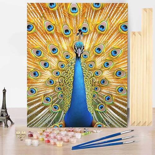 Malen Nach Zahlen Erwachsene Tier Malen Nach Zahlen mit Rahmen, Paint by Numbers Pfau Painting by Numbers Bastelset Erwachsene mit 3 Pinseln und Acrylfarbe für Deko Wohnzimmer (30 x 40 cm) -j250365 von HENJGWEG