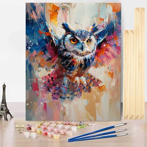 Malen Nach Zahlen Tier Malen Nach Zahlen Erwachsene mit Rahmen, Paint by Numbers Eule Paint by Numbers Adult Inklusive 3 Pinsel und Acrylfarbe für Zimmer Deko Wohnzimmer, Geschenke (40x60cm) -j250317 von HENJGWEG
