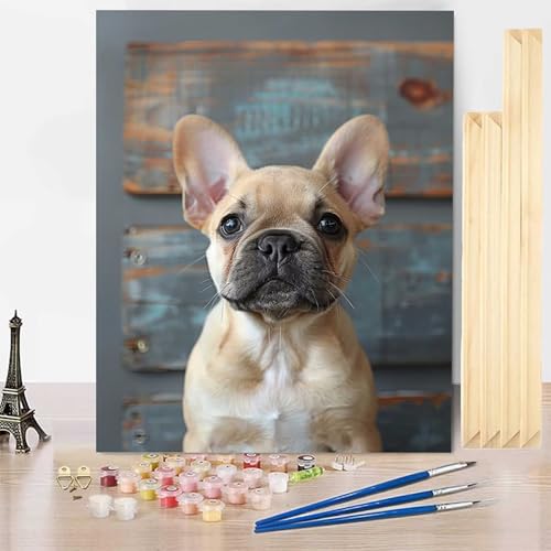 Malen Nach Zahlen Tier Malen Nach Zahlen Erwachsene mit Rahmen, Paint by Numbers Hund Paint by Numbers Adult Inklusive 3 Pinsel und Acrylfarbe für Zimmer Deko Wohnzimmer, Geschenke (40x60cm) -j2503LM von HENJGWEG
