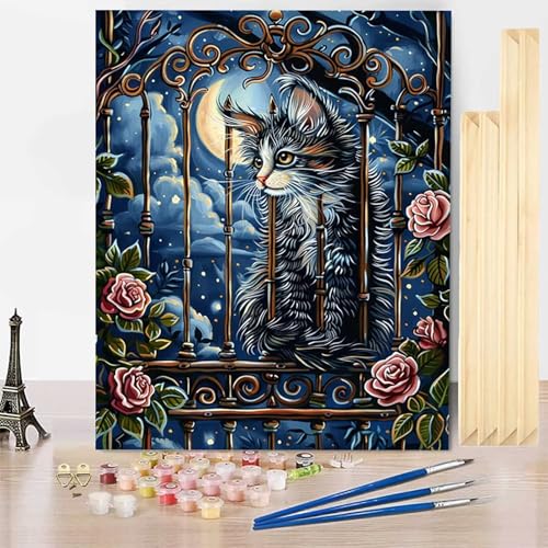 Malen Nach Zahlen Tier Malen Nach Zahlen Erwachsene mit Rahmen, Paint by Numbers Katze Paint by Numbers Adult Inklusive 3 Pinsel und Acrylfarbe für Deko Wohnzimmer, Geschenke (20 x 30 cm) -j250366 von HENJGWEG