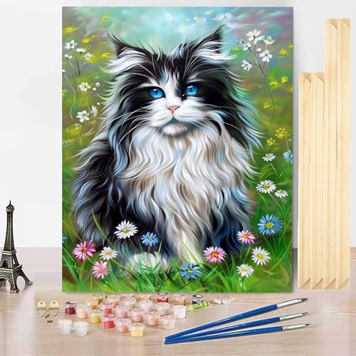 Malen Nach Zahlen Tier Malen Nach Zahlen Erwachsene mit Rahmen, Paint by Numbers Katze Paint by Numbers Adult Inklusive 3 Pinsel und Acrylfarbe für Deko Wohnzimmer, Geschenke (40 x 50 cm) -j250333 von HENJGWEG