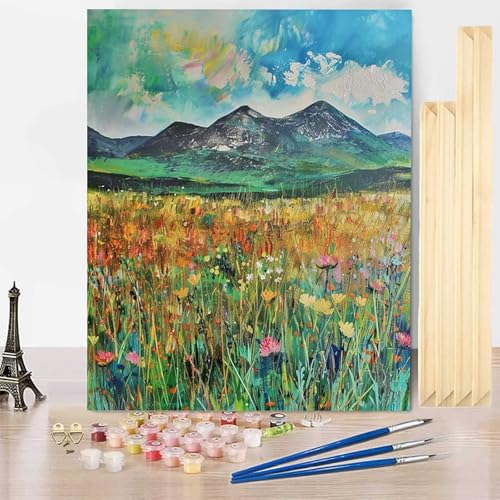Malen Nach Zahlen Wiese Malen Nach Zahlen Erwachsene mit Rahmen, Paint by Numbers Berg Paint by Numbers Adult Inklusive 3 Pinsel und Acrylfarbe für Deko Wohnzimmer, Geschenke 40 x 60 cm -j250372 Malen Nach Zahlen Wiese Malen Nach Zahlen Erwachsene mit Rahmen, Paint by Numbers Berg Paint by Numbers Adult Inklusive 3 Pinsel und Acrylfarbe für Deko Wohnzimmer, Geschenke 40 x 60 cm -j250372 von HENJGWEG