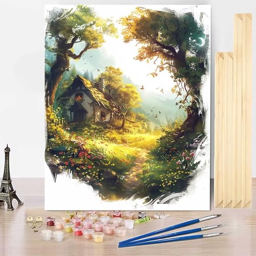 Malen Nach Zahlen Wiese Malen Nach Zahlen Erwachsene mit Rahmen, Paint by Numbers Häuser Paint by Numbers Adult Inklusive 3 Pinsel und Acrylfarbe für Deko Wohnzimmer, Geschenke 40 X 50 CM -j2503M6 von HENJGWEG