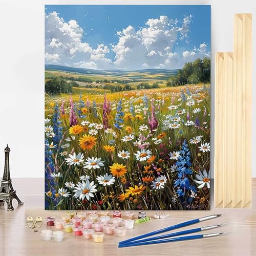 Malen Nach Zahlen Wiese Malen Nach Zahlen Erwachsene mit Rahmen, Paint by Numbers Himmel Paint by Numbers Adult Inklusive 3 Pinsel und Acrylfarbe für Deko Wohnzimmer, Geschenke (70 x 95 cm) -j250390 von HENJGWEG