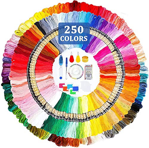 HEPAZ Stickgarn,321pcs Stickerei Kreuzstich Set,250 Farben Multifarben Embroidery Floss,Weicher Polyester Perfekt für Freundschaftsbänder Kit von HEPAZ