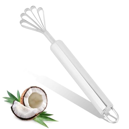 Kokosnuss Reibe Edelstahl, Coconut Scraper, Kokosnussreibe, 19,5 * 3,5 * 1 cm Kokosschaber Mehrzweck Kokos Schaber Schneider für Küchenschüsseln Fischschupper-Entferner Kokosnuss Reibe Edelstahl, Coconut Scraper, Kokosnussreibe, 19,5 * 3,5 * 1 cm Kokosschaber Mehrzweck Kokos Schaber Schneider für Küchenschüsseln Fischschupper-Entferner von HERCHR
