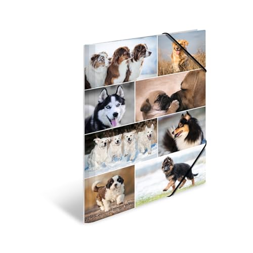 HERMA Sammelmappe A3 Hunde, Kinder Eckspanner-Mappe aus Pappe mit Tier Motiv, Gummizug, Innenklappen und Innendruck für Jungen und Mädchen HERMA Sammelmappe A3 Hunde, Kinder Eckspanner-Mappe aus Pappe mit Tier Motiv, Gummizug, Innenklappen und Innendruck für Jungen und Mädchen von HERMA