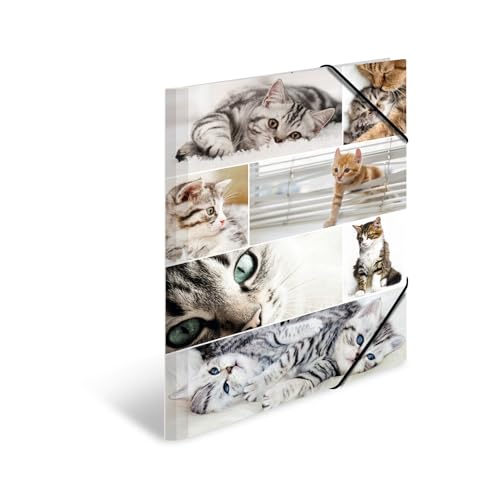 HERMA Sammelmappe A3 Katzen, Kinder Eckspanner-Mappe aus Pappe mit Tier Motiv, Gummizug, Innenklappen und Innendruck für Jungen und Mädchen HERMA Sammelmappe A3 Katzen, Kinder Eckspanner-Mappe aus Pappe mit Tier Motiv, Gummizug, Innenklappen und Innendruck für Jungen und Mädchen von HERMA