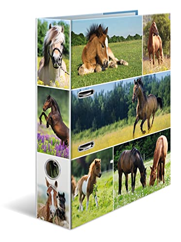 HERMA Ordner A4 Pferde Set, 10 Stück, 7 cm breit, Kinder Ringordner mit Tier Motiv, bunter Aktenordner mit Innendruck für Jungen und Mädchen HERMA Ordner A4 Pferde Set, 10 Stück, 7 cm breit, Kinder Ringordner mit Tier Motiv, bunter Aktenordner mit Innendruck für Jungen und Mädchen von HERMA