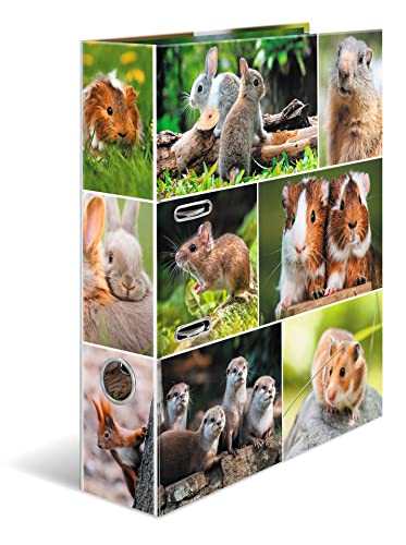 HERMA Ordner A4 Nagetiere, 7 cm breit, Kinder Ringordner mit Tier Motiv, bunter Aktenordner mit Innendruck für Jungen und Mädchen HERMA Ordner A4 Nagetiere, 7 cm breit, Kinder Ringordner mit Tier Motiv, bunter Aktenordner mit Innendruck für Jungen und Mädchen von HERMA